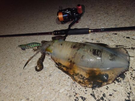 爆風エギングIN対馬