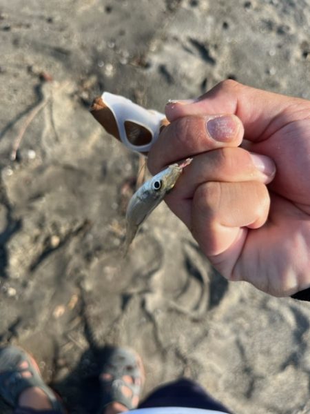 錦江町で投げ釣り