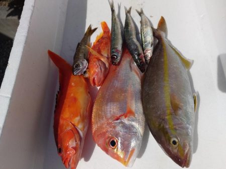 今年初の五目ジギング　