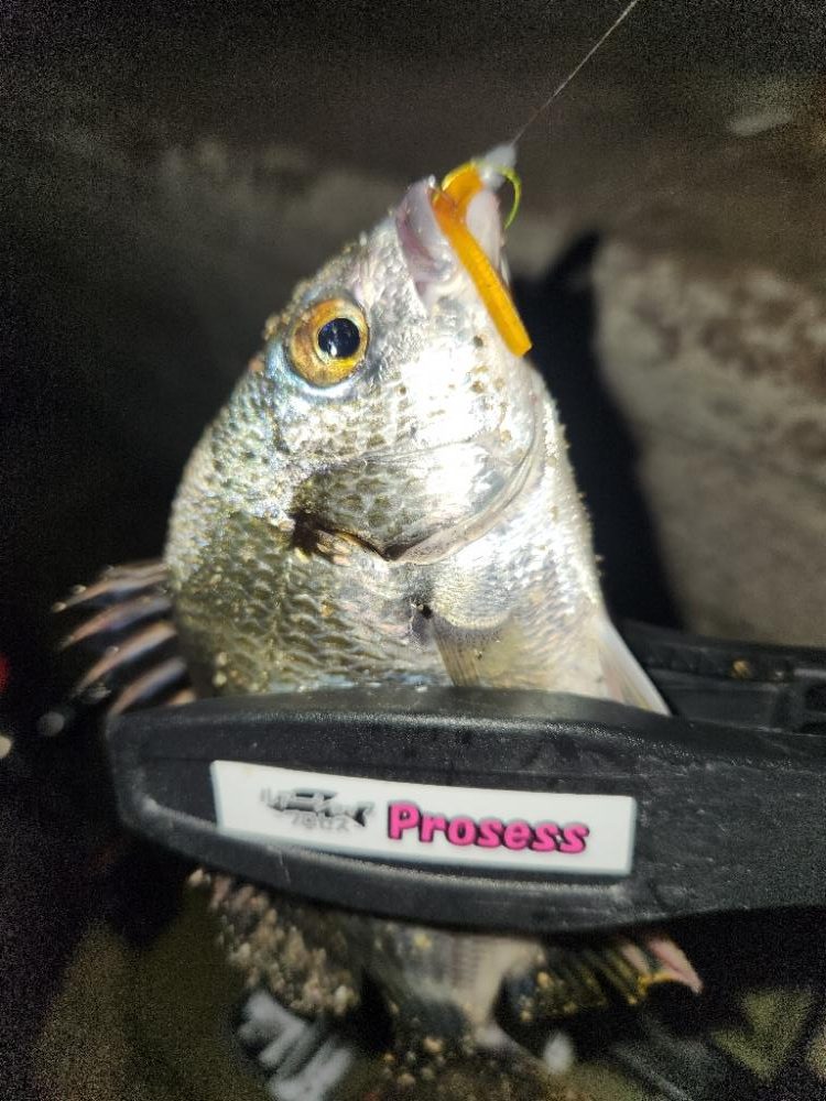 イベントにいってきた～