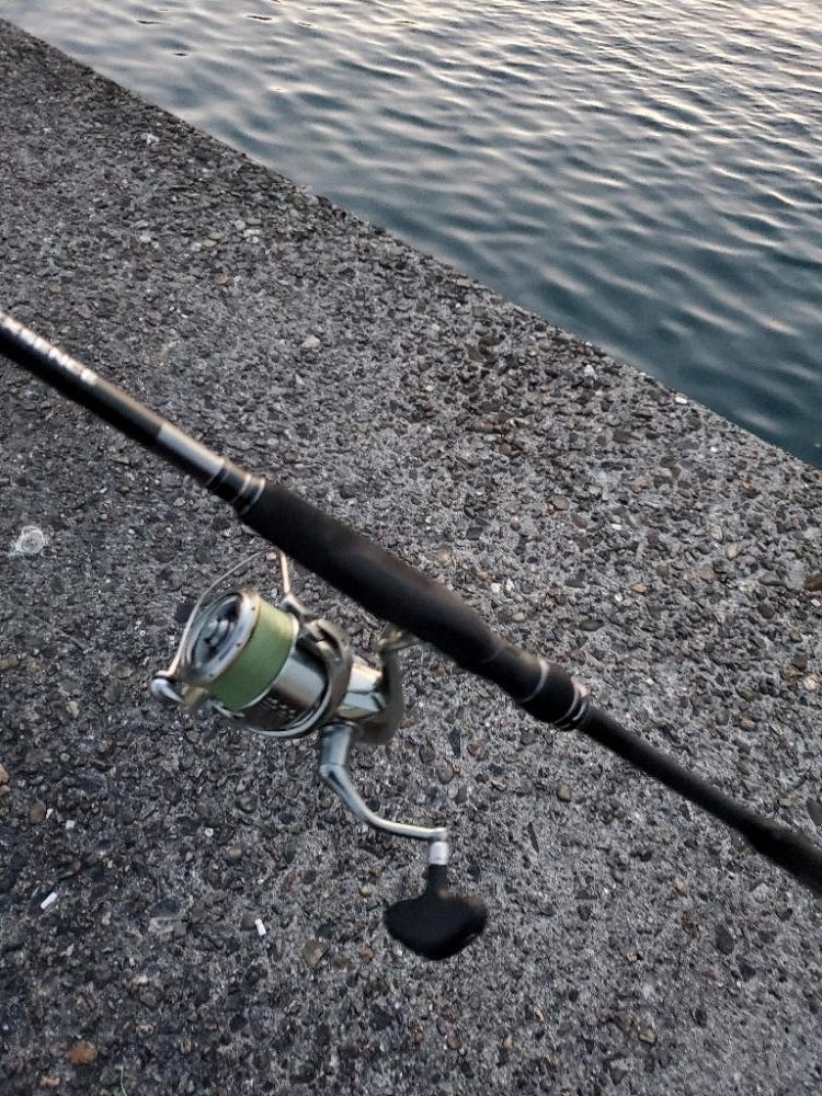 マリーナ付近で全力のタチウオ釣り