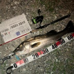 久しぶりのウェーディング