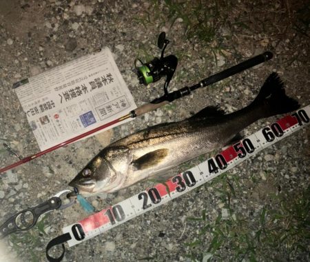 久しぶりのウェーディング