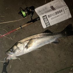 やはり鮎についてましたねーぇ