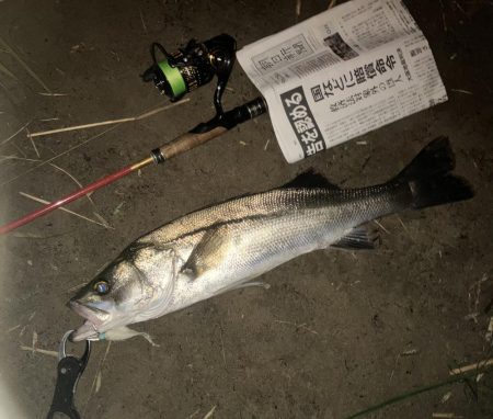 やはり鮎についてましたねーぇ