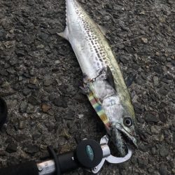 めっちゃバレる