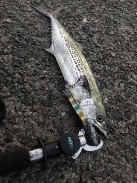 めっちゃバレる