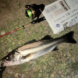 ががっときました。