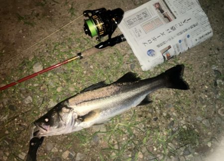 ががっときました。