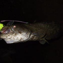 秋のハイシーズンまでもう少し