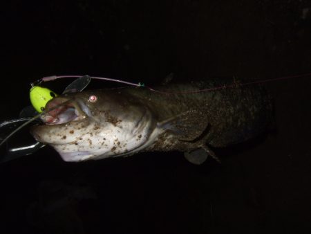 秋のハイシーズンまでもう少し