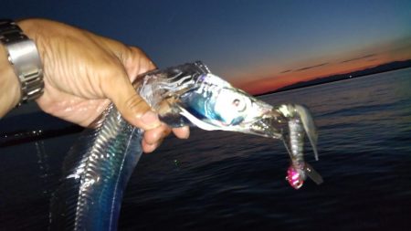 水軒夕マズメのタッチー