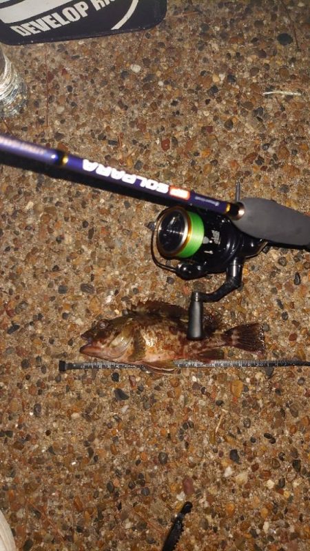 思い出のロッドがあるじゃないか！