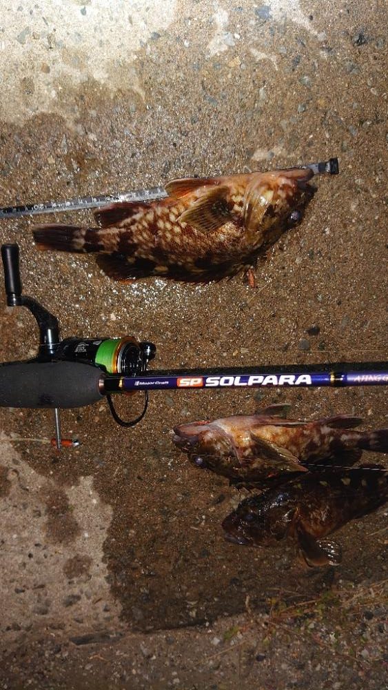 帰りに場所を移動して様子を伺う