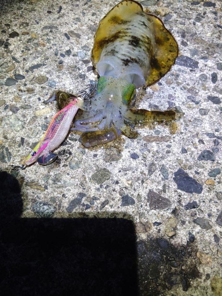 沖漬けが食べたくなって