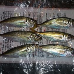 出遅れてしまいました!