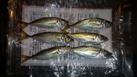 出遅れてしまいました!