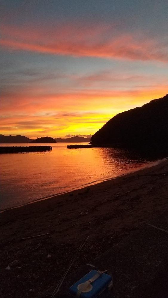 久しぶりのキス釣りは…