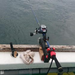 タチウオテンヤチャレンジ