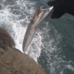 デイロックでカマシング