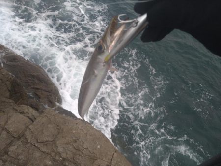 デイロックでカマシング