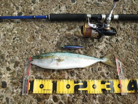 久しぶりのショアジギング🎣…