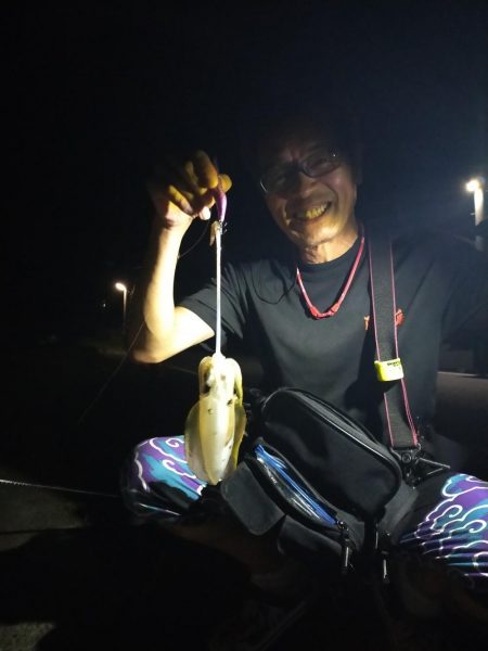 アオリの新子調査