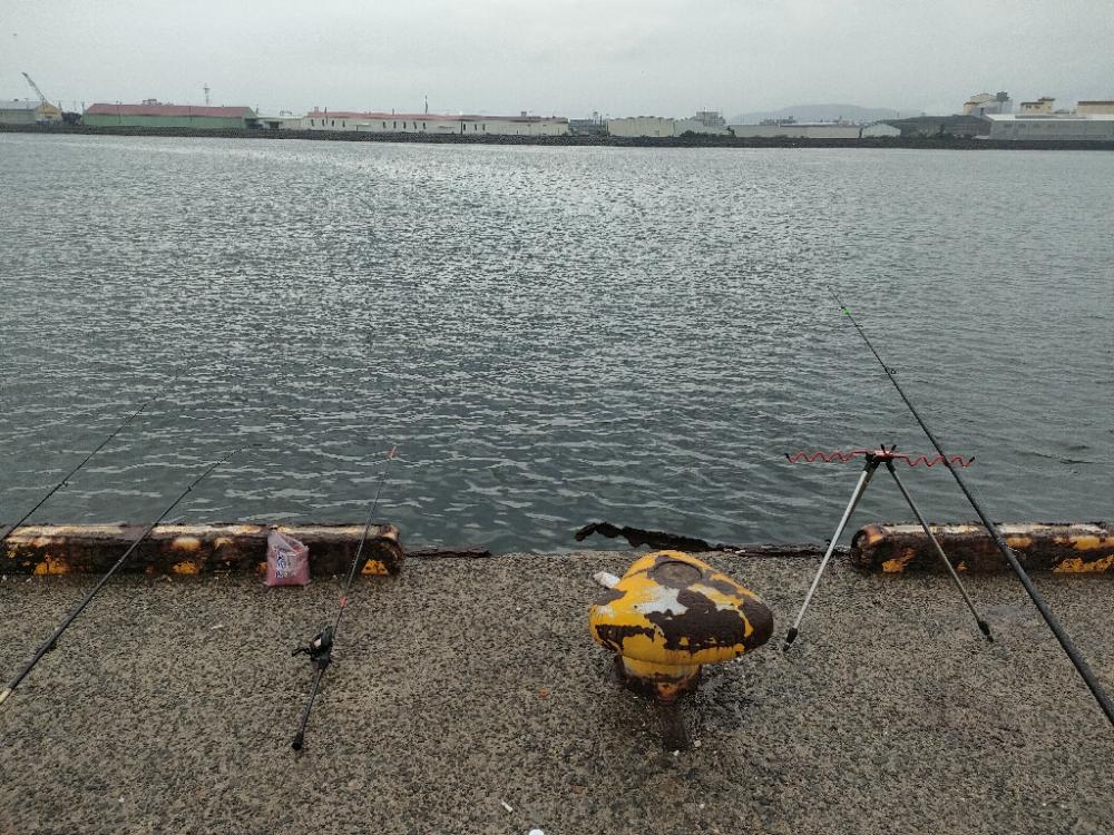 貝塚人工島水道側北詰