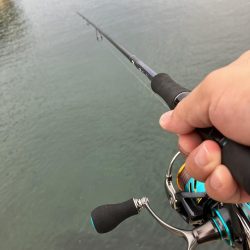 夕まづめでリベンジ