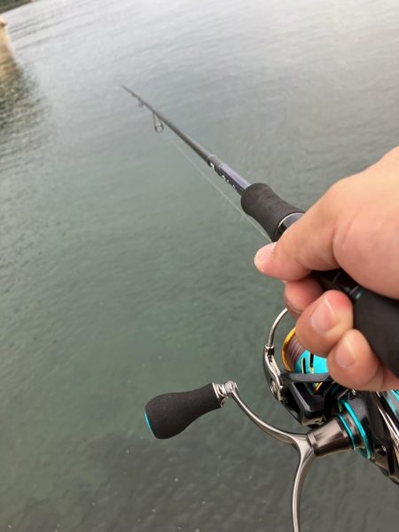 夕まづめでリベンジ