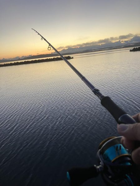 黒鯛は裏切らない