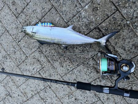 秋シーズンイン？