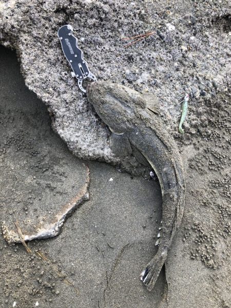 ライトソルトゲーム#01