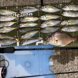 ブルーカレント JHspecial62/TZ NANOでアジング