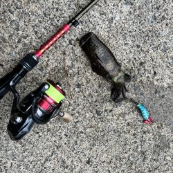 エギング　日本海は2