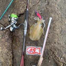 エギングとヤエン