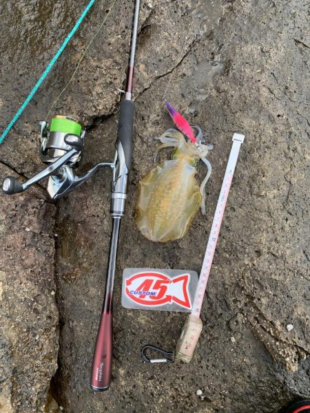 エギングとヤエン