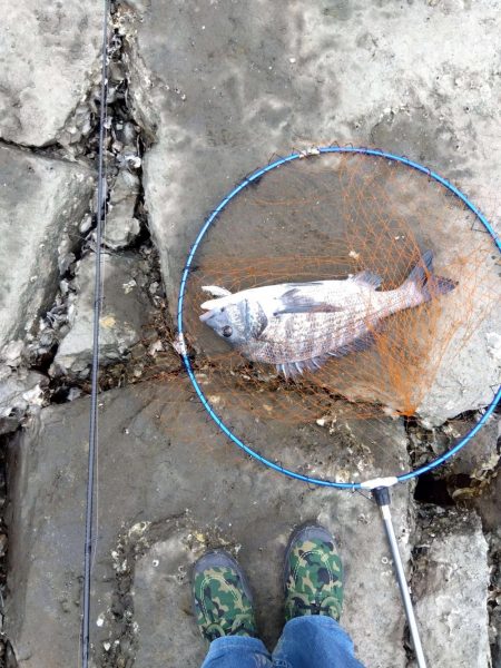 9月ようやく釣れた、マジ嬉しい