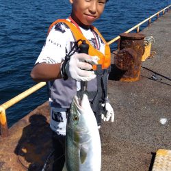 メガフロートでメジロ！！