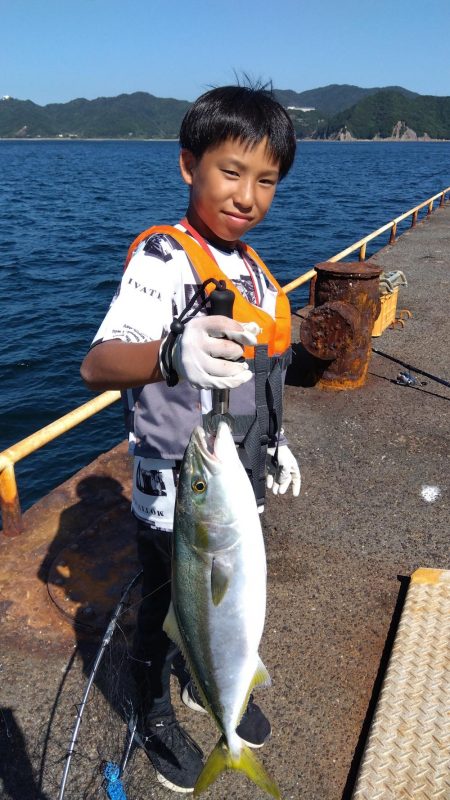 メガフロートでメジロ！！