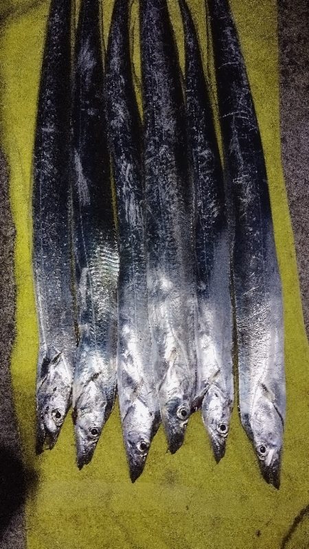 食べる分だけ！