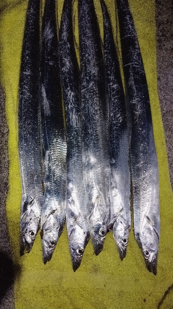 食べる分だけ！