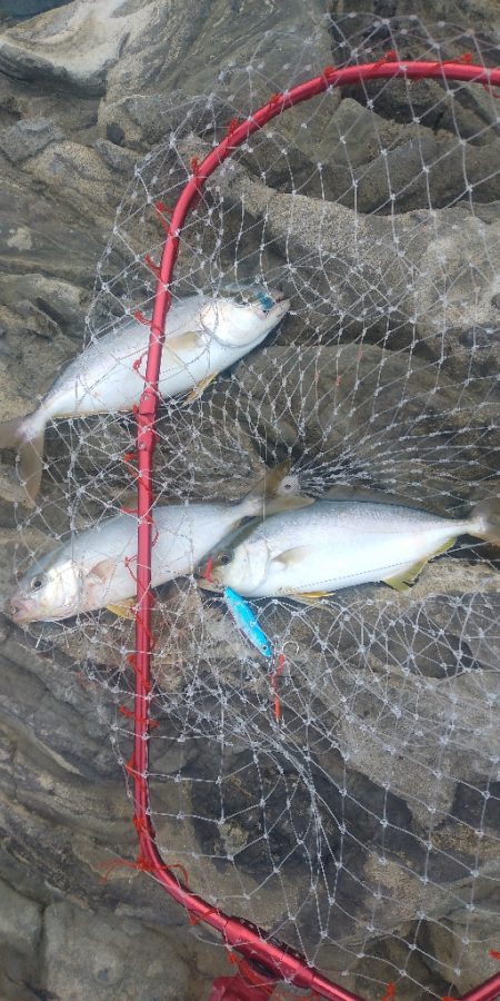 ネリゴのトリプルアタック