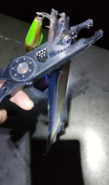 タチウオ狙いの淡路島釣行ろ