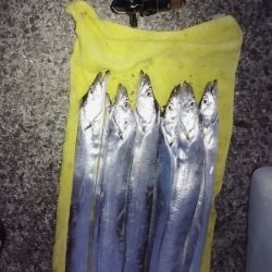 ベイトは釣りエサ?!