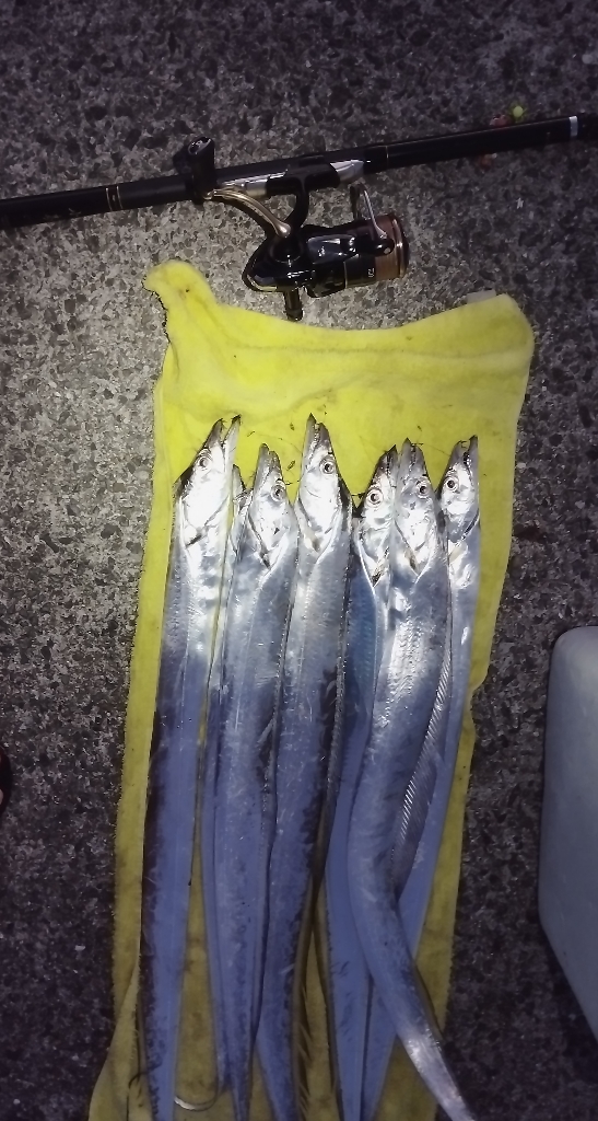 ベイトは釣りエサ?!