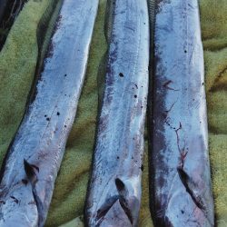 何とか、間に合いました