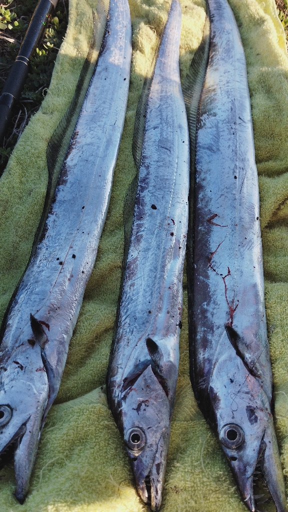 何とか、間に合いました