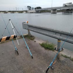 閖上港　青イソメ　ちょい投げ　ハゼ　コチ　熱帯魚？