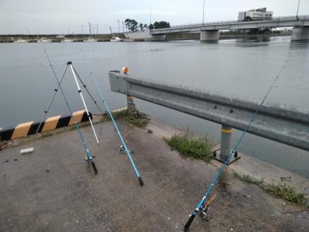 閖上港　青イソメ　ちょい投げ　ハゼ　コチ　熱帯魚？